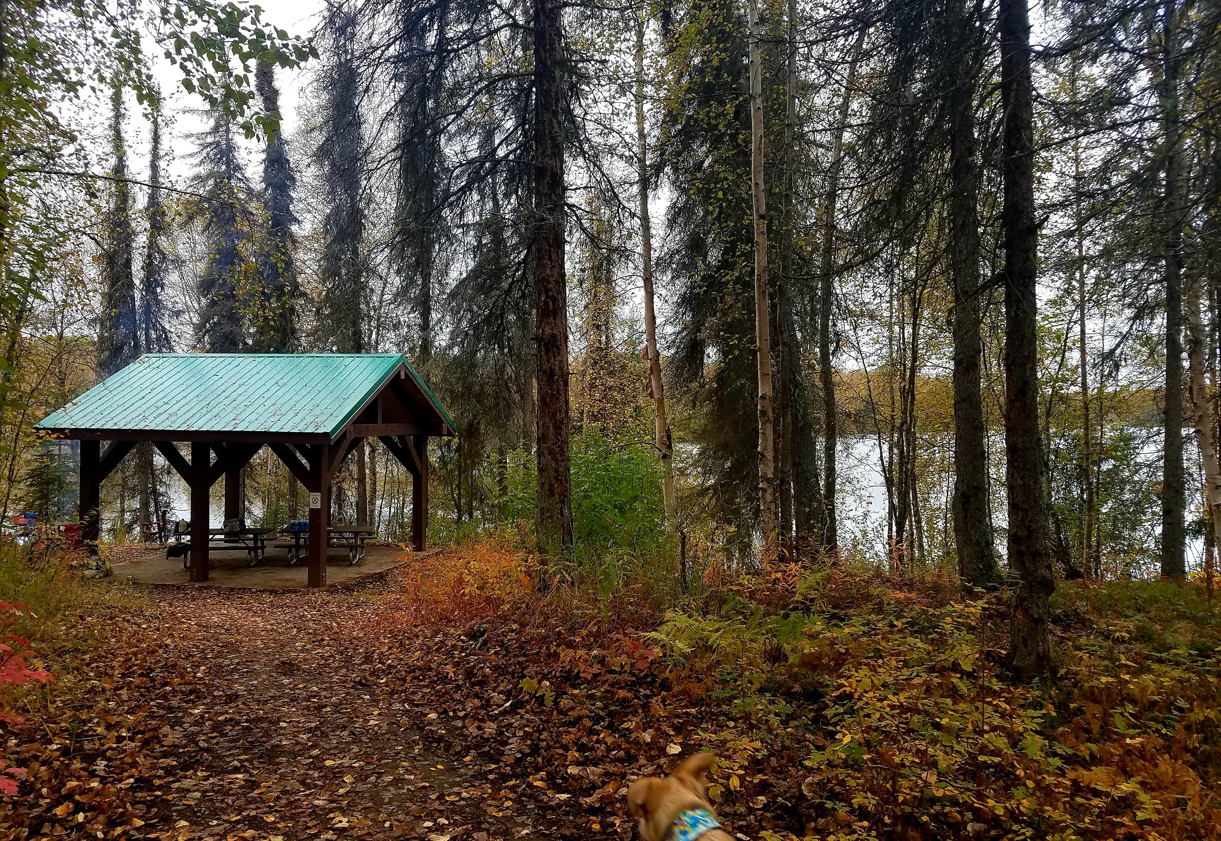 Camper submitted image from Nancy Lake State Recreation Site Campground - 4
