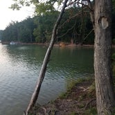 Review photo of Cardens Bluff Campground by Robin K., August 20, 2017