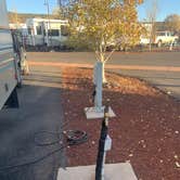 Review photo of Grand Canyon Railway RV Park by Bounding Around , November 1, 2019