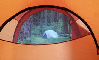 Ashley Y.'s photo at Camp Wilkerson near Woodland, WA
