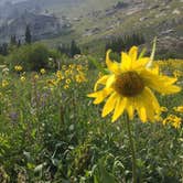 Review photo of Jenny Lake Campground — Grand Teton National Park by Sam M., November 1, 2019