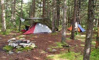 Dave V.'s photo at Spruce Knob and Spruce Knob Observation Tower near Glady, WV