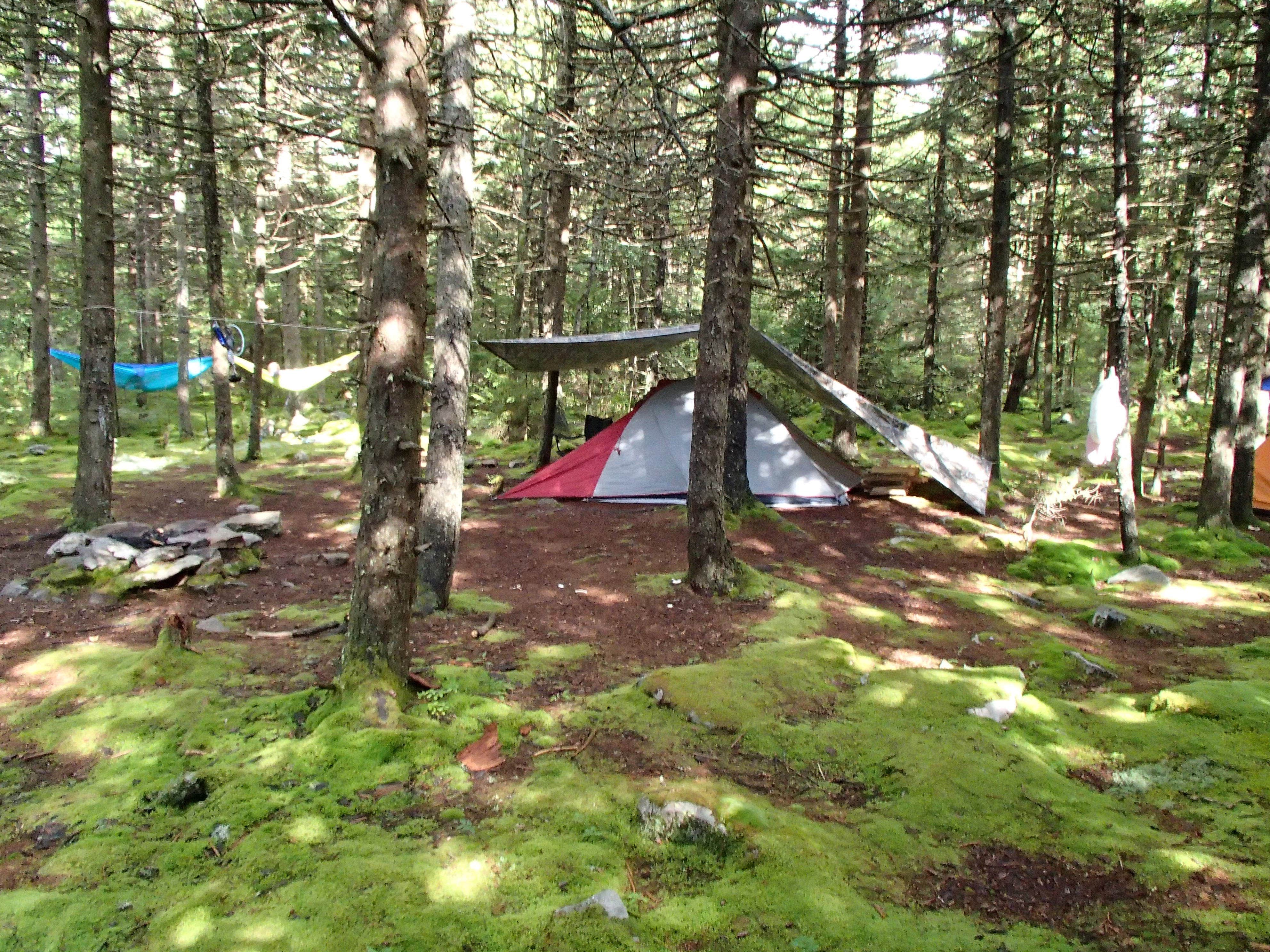 Dave V.'s photo at Spruce Knob and Spruce Knob Observation Tower near Glady, WV