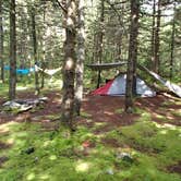 Review photo of Spruce Knob and Spruce Knob Observation Tower by Dave V., October 31, 2019