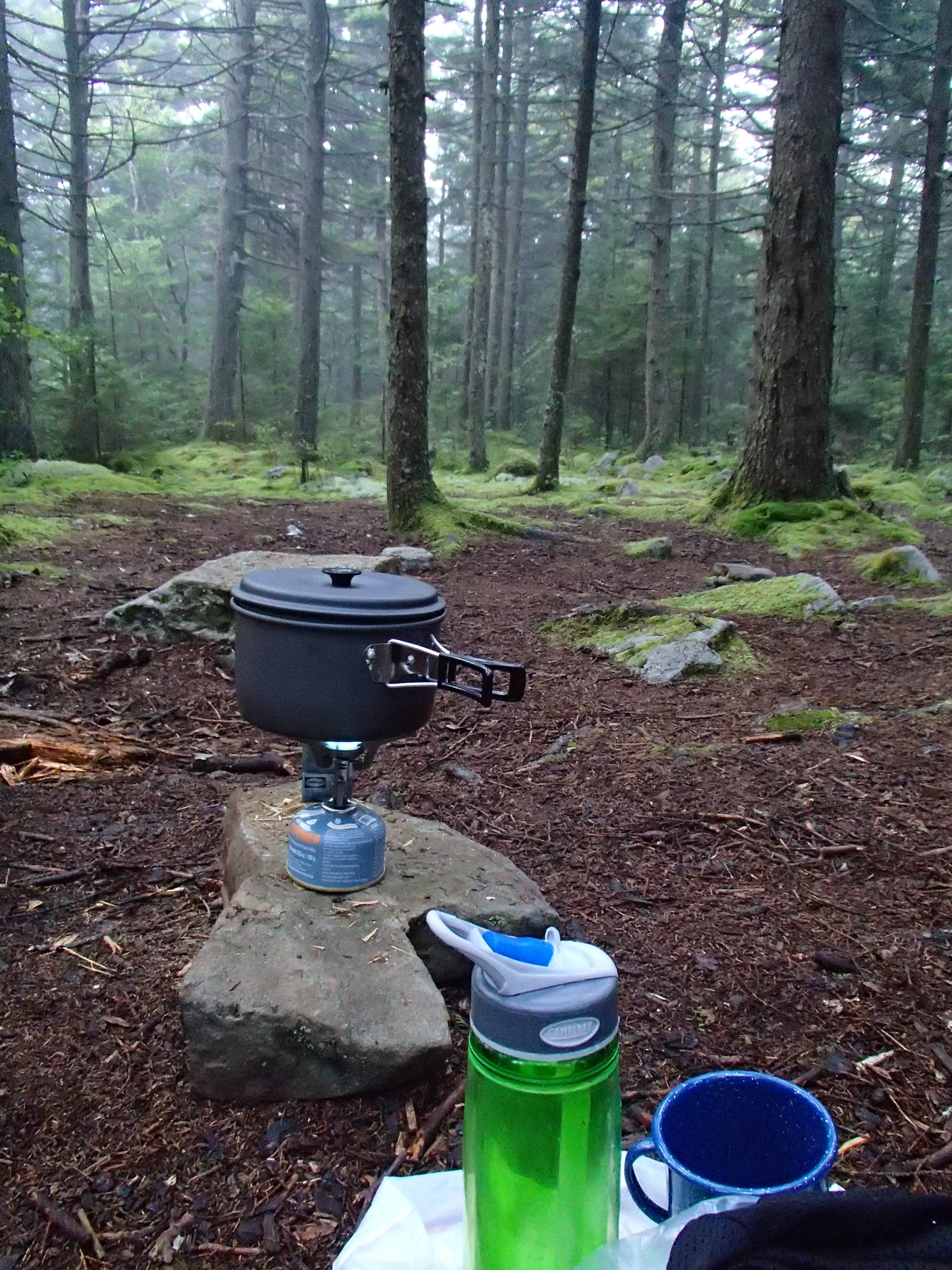 Camper-submitted photo at Spruce Knob and Spruce Knob Observation Tower near Glady, WV