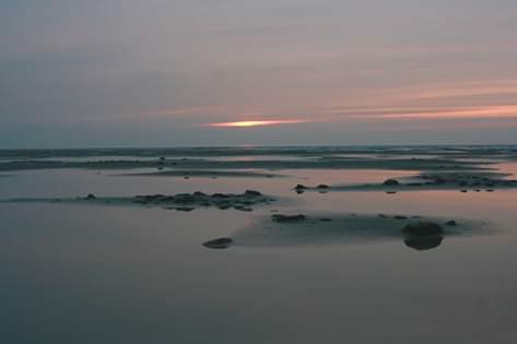 Camper submitted image from White Rock Bay Campground — Antelope Island State Park - 3