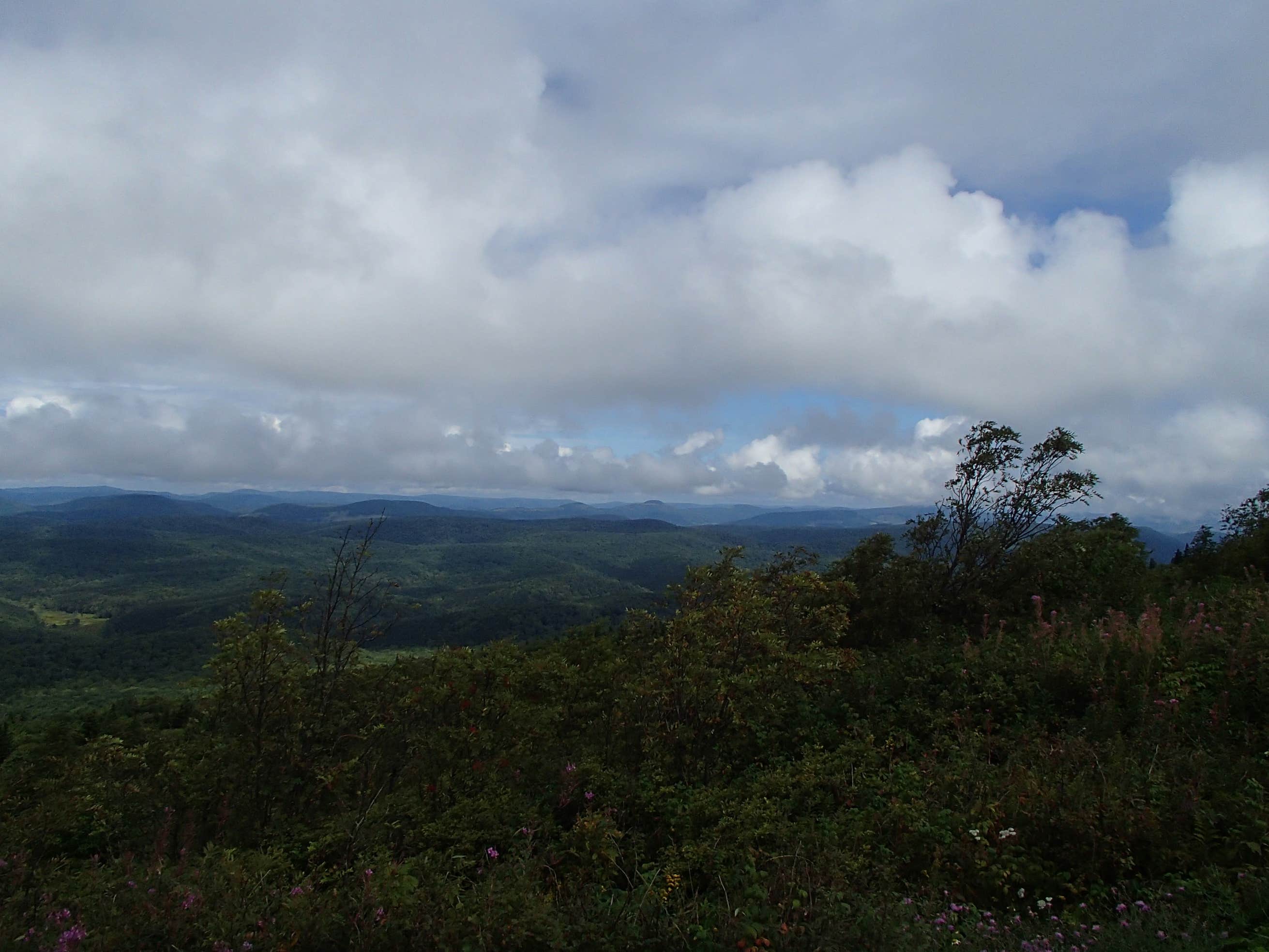 Spruce Knob and Spruce Knob Observation Tower The Dyrt