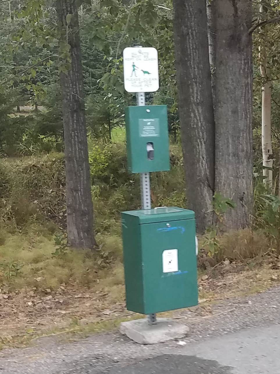 Camper submitted image from Matanuska River Park Campground - 4