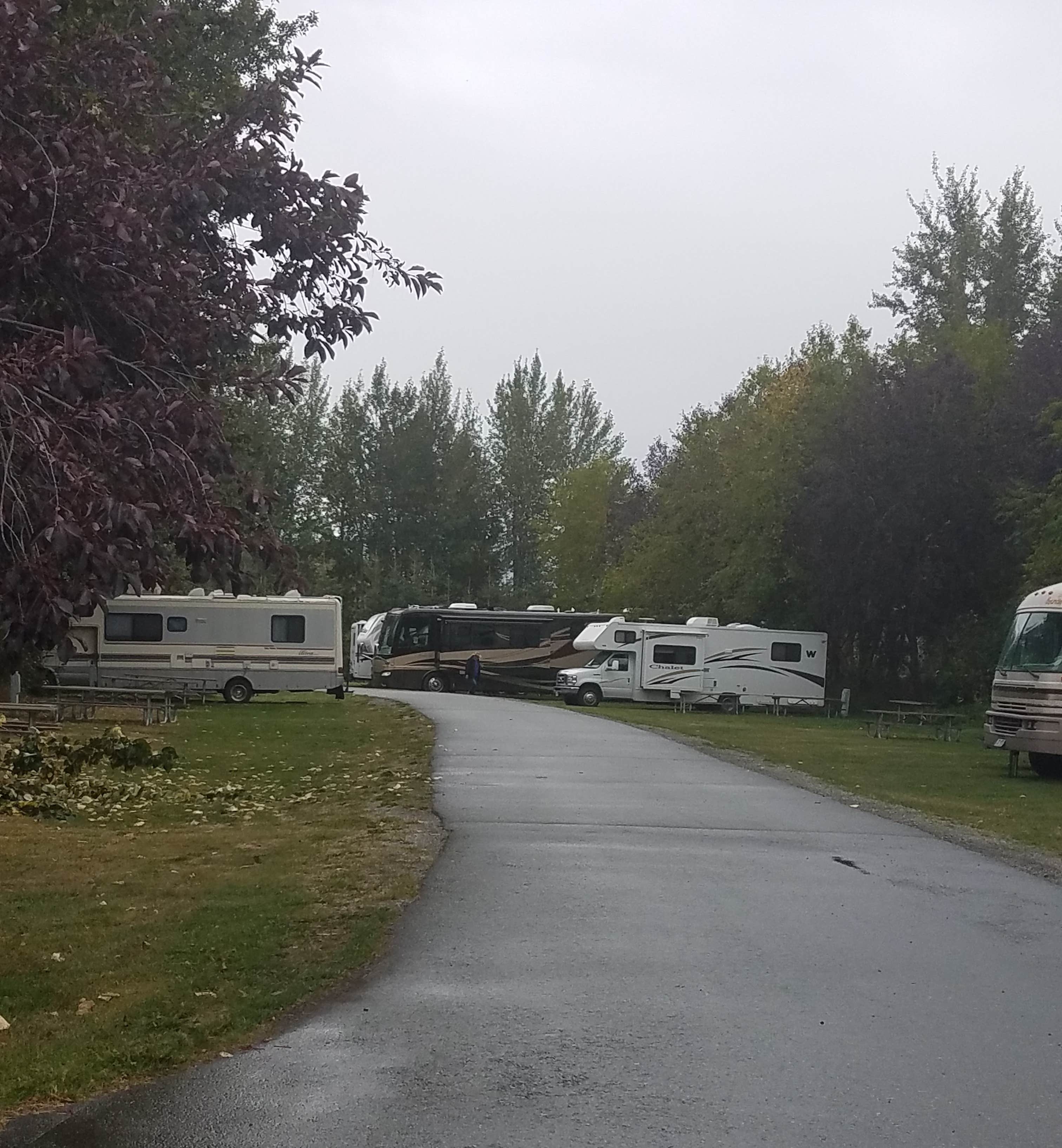Shadara W.'s photo of rv camping at Matanuska River Park Campground near Wasilla, AK