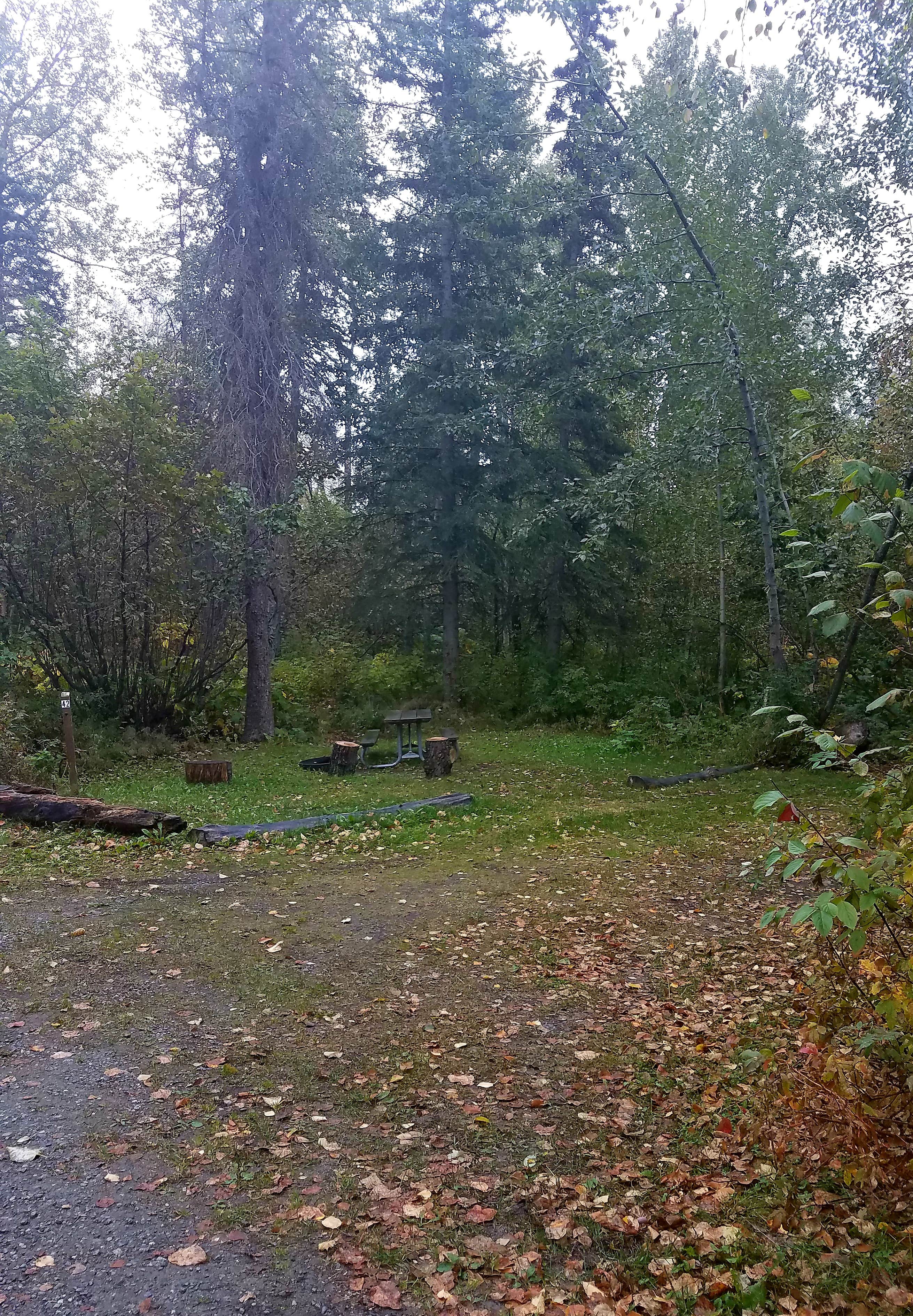 Camper submitted image from Matanuska River Park Campground - 2