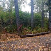 Review photo of Matanuska River Park Campground by Shadara W., November 1, 2019