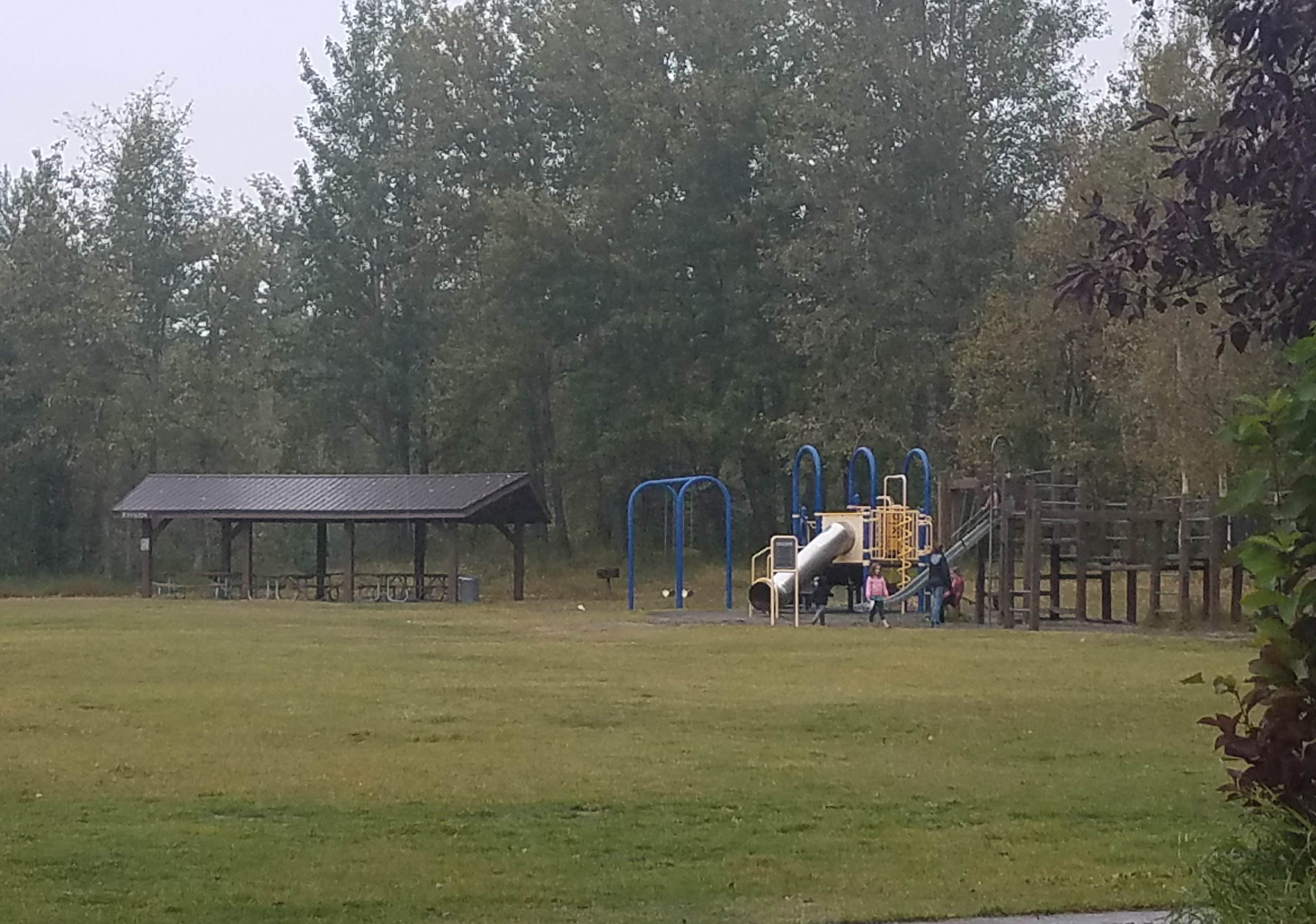 Camper submitted image from Matanuska River Park Campground - 4