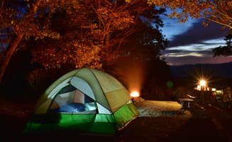 Myron C.'s photo at Mile High Campground — Great Smoky Mountains National Park near Balsam, NC