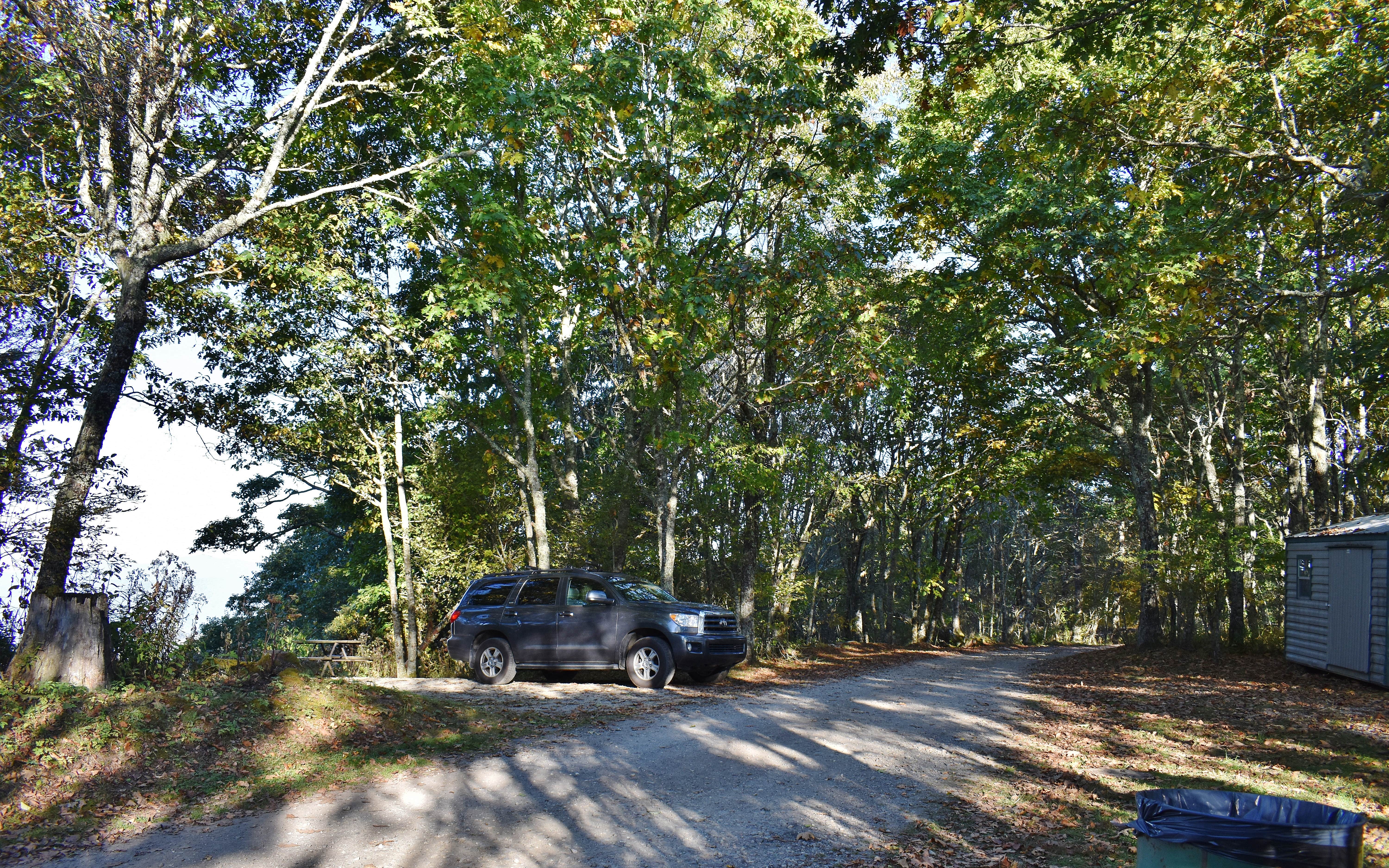 Camper submitted image from Mile High Campground — Great Smoky Mountains National Park - 3