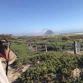 Review photo of Morro Strand State Beach by Anne O., August 20, 2017