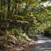 Review photo of Mile High Campground — Great Smoky Mountains National Park by Myron C., November 1, 2019