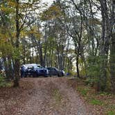 Review photo of Mile High Campground — Great Smoky Mountains National Park by Myron C., November 1, 2019