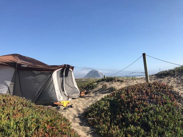 Camper submitted image from Morro Strand State Beach Campground - 3