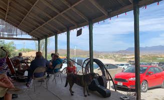 Bounding Around's photo of camping with pets at Retro Rents near Big Bend National Park