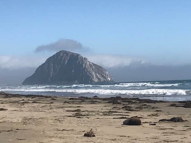 Camper submitted image from Morro Strand State Beach Campground - 5