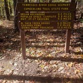 Review photo of Raccoon Mountain Caverns and Campground by Sam M., November 1, 2019