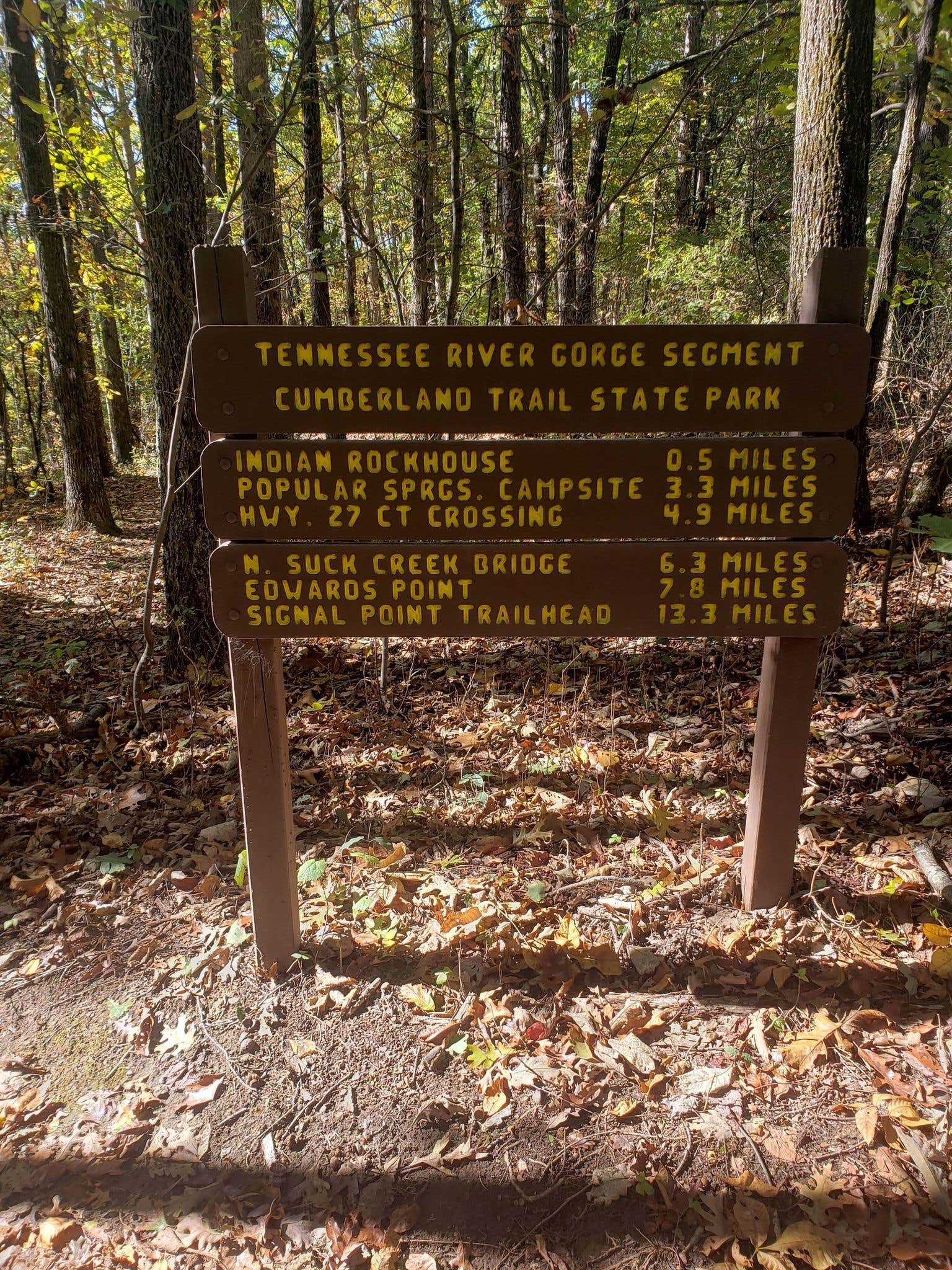 Camper submitted image from Raccoon Mountain Caverns and Campground - 5