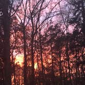Review photo of Raccoon Mountain Caverns and Campground by Sam M., November 1, 2019