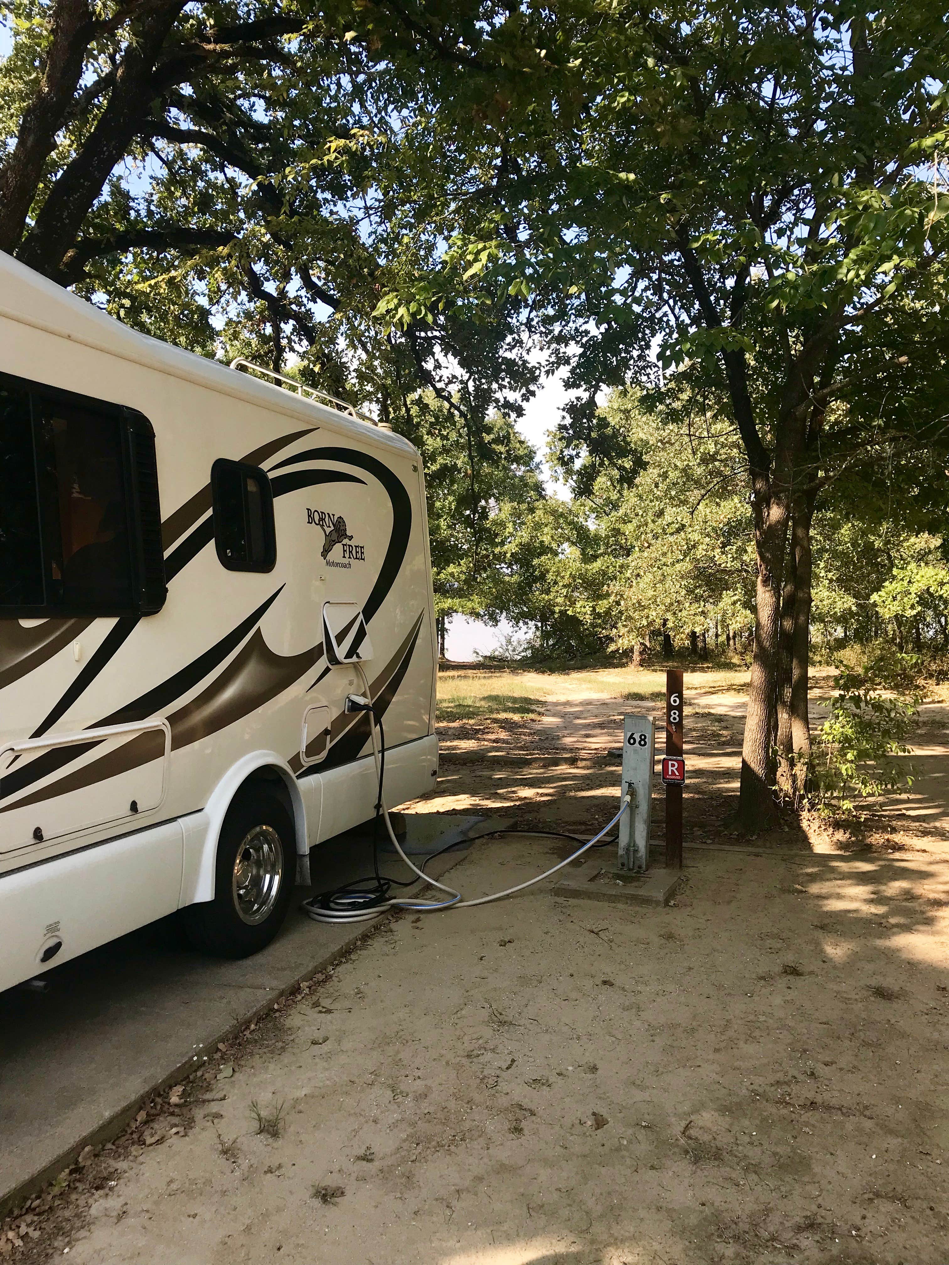 Camper submitted image from Deer Haven Campground - Cooper Lake State Park - 1