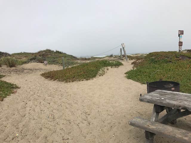 Camper submitted image from Morro Strand State Beach Campground - 4