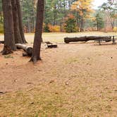 Review photo of Bear Brook State Park Campground by Jean C., November 1, 2019