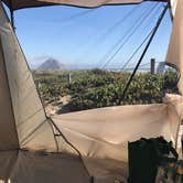 Review photo of Morro Strand State Beach Campground by Anne O., August 20, 2017