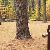 Review photo of Bear Brook State Park Campground by Jean C., November 1, 2019