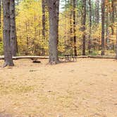 Review photo of Bear Brook State Park Campground by Jean C., November 1, 2019