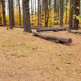 Review photo of Bear Brook State Park Campground by Jean C., November 1, 2019