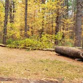 Review photo of Bear Brook State Park Campground by Jean C., November 1, 2019