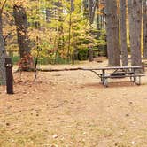 Review photo of Bear Brook State Park Campground by Jean C., November 1, 2019