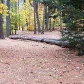 Review photo of Bear Brook State Park Campground by Jean C., November 1, 2019