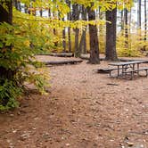 Review photo of Bear Brook State Park Campground by Jean C., November 1, 2019