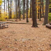 Review photo of Bear Brook State Park Campground by Jean C., November 1, 2019