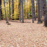 Review photo of Bear Brook State Park Campground by Jean C., November 1, 2019