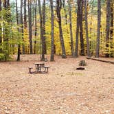 Review photo of Bear Brook State Park Campground by Jean C., November 1, 2019