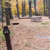 Review photo of Bear Brook State Park Campground by Jean C., November 1, 2019