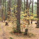 Review photo of Bear Brook State Park Campground by Jean C., November 1, 2019