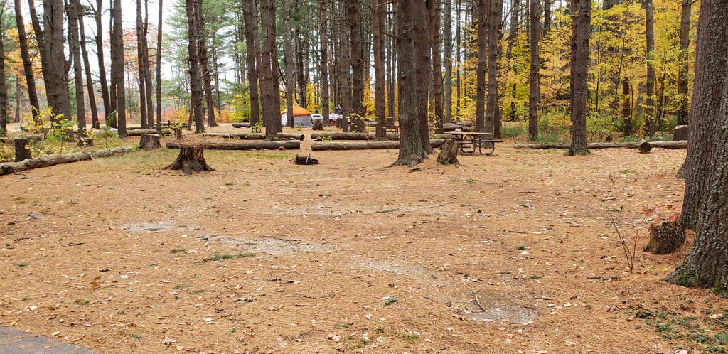 Jean C.'s photo at Bear Brook State Park Campground near Epping, NH