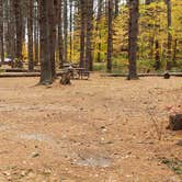 Review photo of Bear Brook State Park Campground by Jean C., November 1, 2019