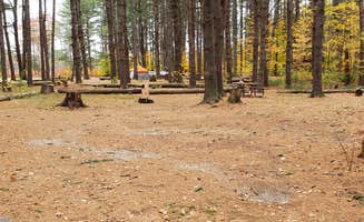 Jean C.'s photo at Bear Brook State Park Campground near Pittsfield, NH