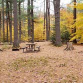 Review photo of Bear Brook State Park Campground by Jean C., November 1, 2019