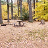 Review photo of Bear Brook State Park Campground by Jean C., November 1, 2019