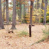 Review photo of Bear Brook State Park Campground by Jean C., November 1, 2019