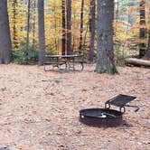 Review photo of Bear Brook State Park Campground by Jean C., November 1, 2019